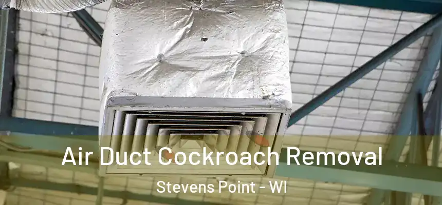 Air Duct Cockroach Removal Stevens Point - WI