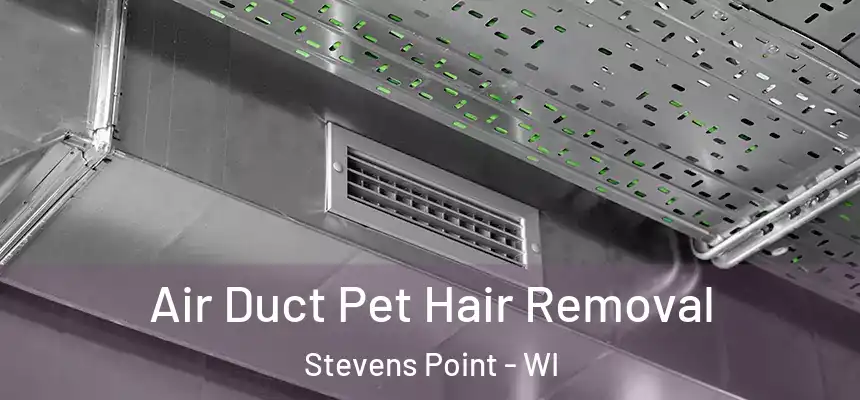 Air Duct Pet Hair Removal Stevens Point - WI