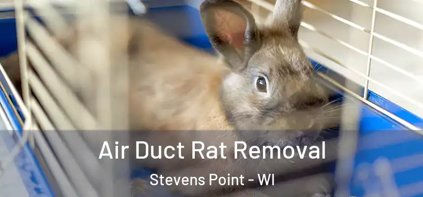  Air Duct Rat Removal Stevens Point - WI