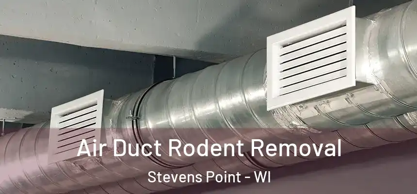  Air Duct Rodent Removal Stevens Point - WI