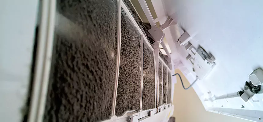 Preventive Air Duct Bacteria Removal in Stevens Point