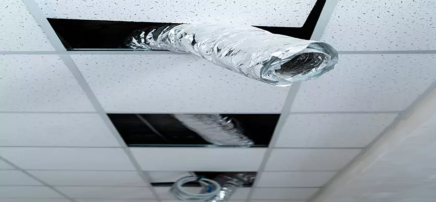 Affordable HVAC Sanitizing After Pest Removal in Stevens Point