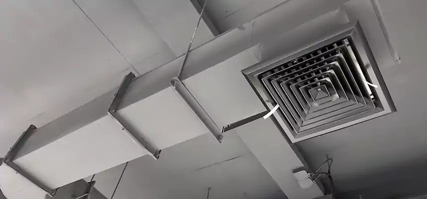 Our Pest Removal From Ducts Services in Stevens Point, WI