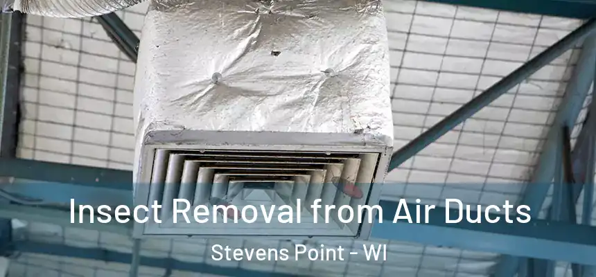 Insect Removal from Air Ducts Stevens Point - WI