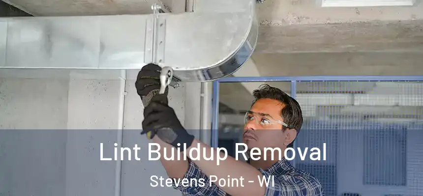 Lint Buildup Removal Stevens Point - WI