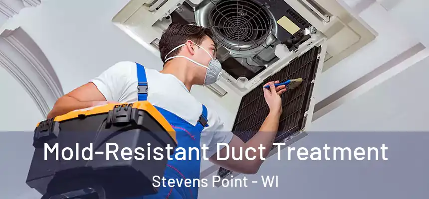  Mold-Resistant Duct Treatment Stevens Point - WI