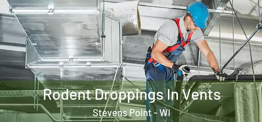  Rodent Droppings In Vents Stevens Point - WI