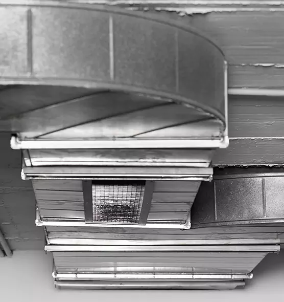 Professional Air Duct Pet Hair Removal in Stevens Point, WI