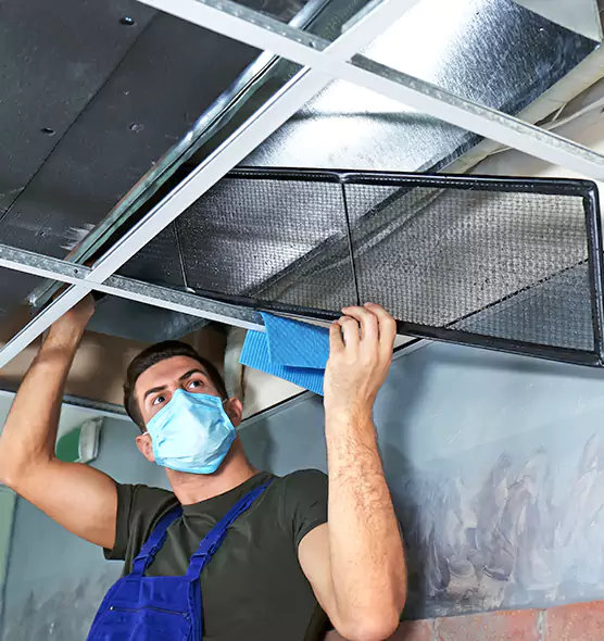 Professional Air Duct Pollen Cleaning in Stevens Point, WI
