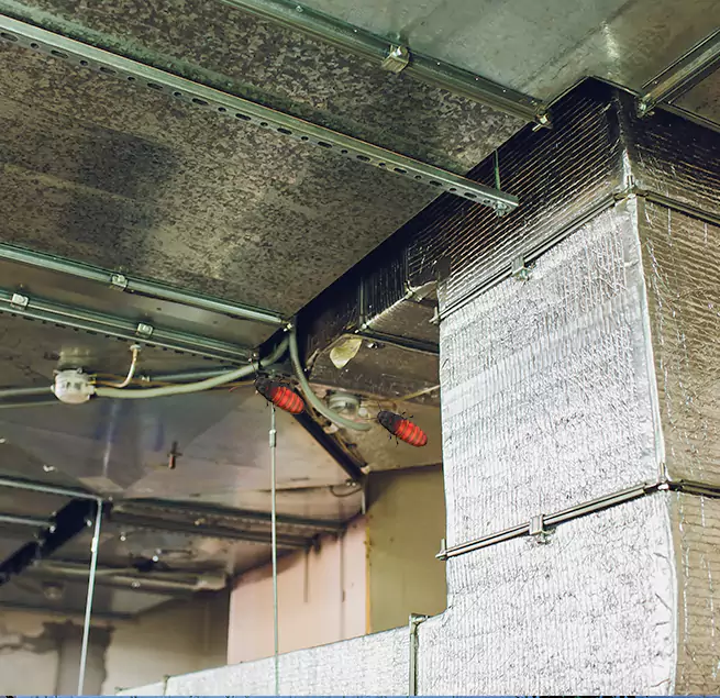 Why Homeowners & Businesses Trust Us in Stevens Point, WI?