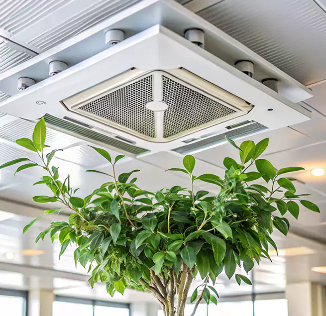 Why Homeowners & Businesses Trust Us in Stevens Point, WI?